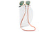Cordones para gafas Unisex Color Café
