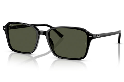 Gafas de Sol Ray Ban 0RB2231 Unisex Color Negro