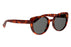 Miniatura3 - Gafas de Sol DbyD  DBSF5010 Unisex Color Havana