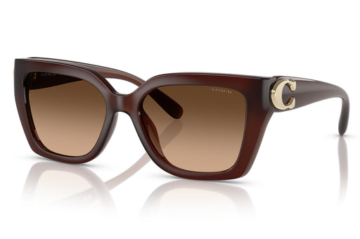 Gafas de Sol Coach 0HC8408U Unisex Color Café
