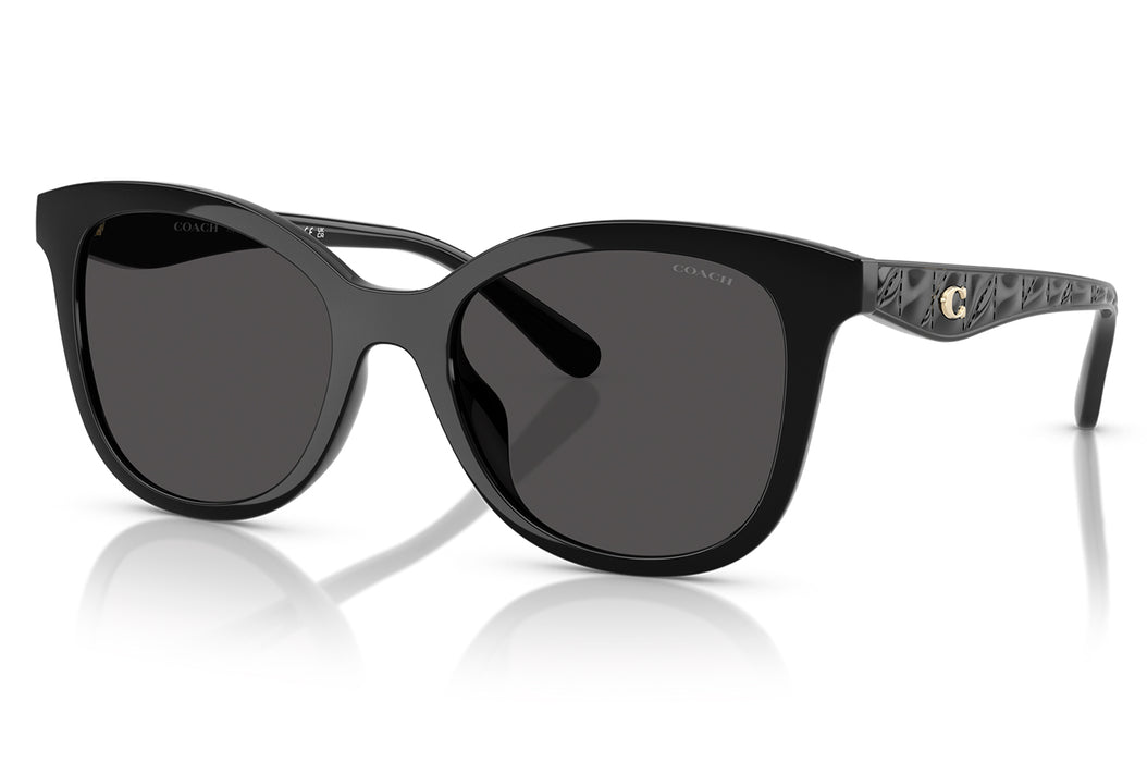 Vista1 - Gafas de Sol Coach 0HC8419U Unisex Color Negro