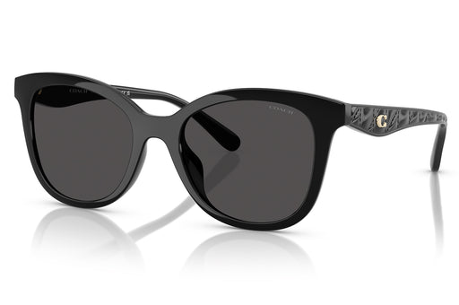 Gafas de Sol Coach 0HC8419U Unisex Color Negro