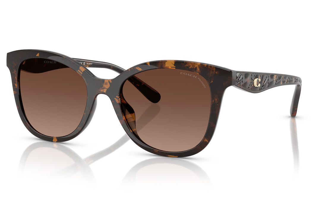 Vista1 - Gafas de Sol Coach 0HC8419U Unisex Color Havana