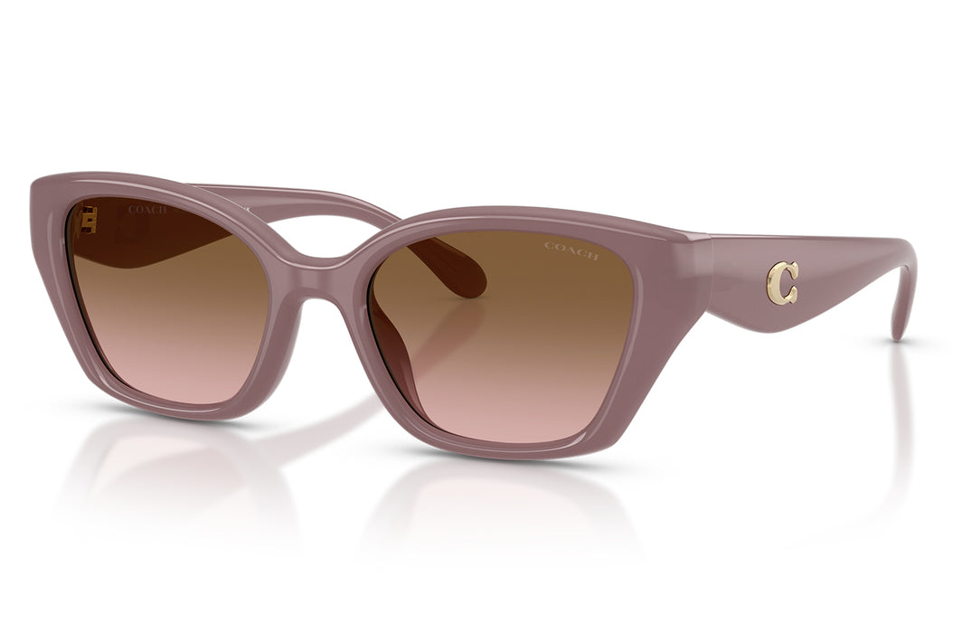 Vista1 - Gafas de Sol Coach 0HC8434U Mujer Color Café