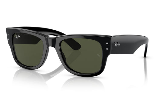 Gafas de Sol Ray Ban 0RB0840S Unisex Color Negro