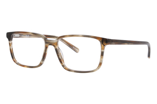 Gafas oftálmicas DbyD 0DB2145 Hombre Color Café