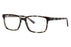Miniatura2 - Gafas oftálmicas DbyD 0DB2146 Hombre Color Havana