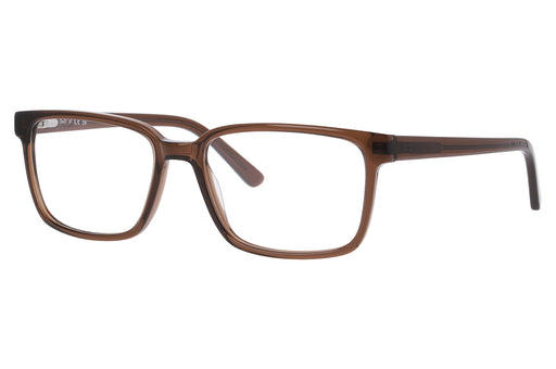 Gafas oftálmicas DbyD 0DB2146 Hombre Color Café
