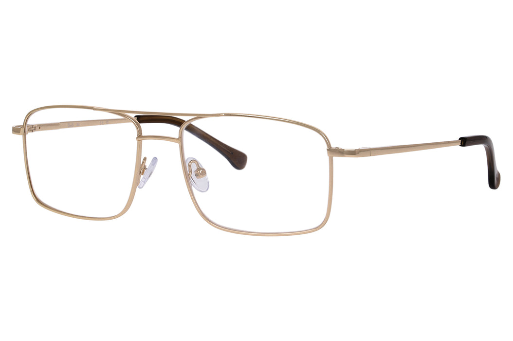 Vista1 - Gafas oftálmicas DbyD 0DB1039 Hombre Color Oro