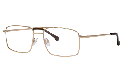 Gafas oftálmicas DbyD 0DB1039 Hombre Color Oro