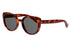 Miniatura2 - Gafas de Sol DbyD  DBSF5010 Unisex Color Havana