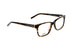 Miniatura5 - Gafas oftálmicas DbyD DBOM5008 Hombre Color Havana