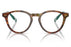Miniatura1 - Gafas oftálmicas Polo Ralph Lauren 0PH2268 Hombre Color Havana