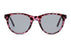 Miniatura1 - Gafas de Sol DbyD Sol DBSF0017 Unisex Color Violeta