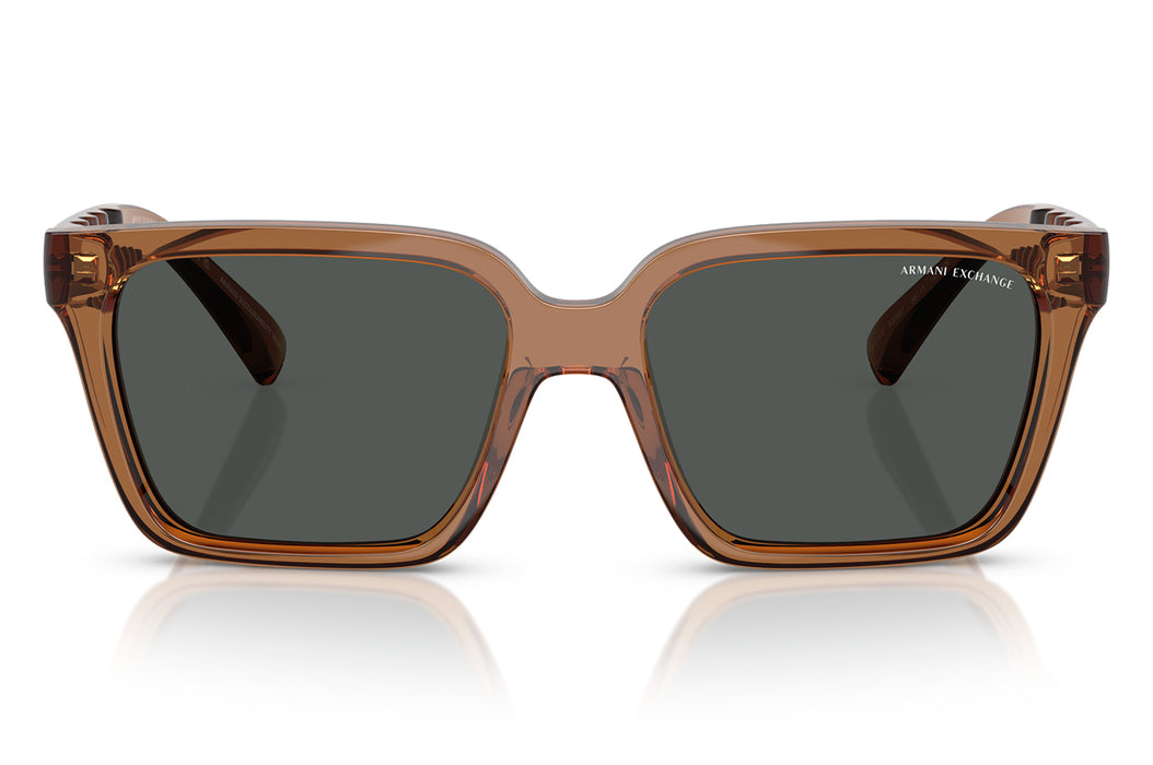 Gafas de Sol Armani Exchange 0AX4147S Unisex Color Café