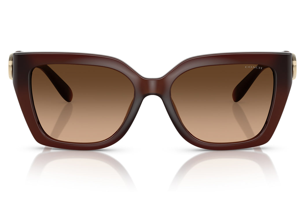 Gafas de Sol Coach 0HC8408U Unisex Color Café