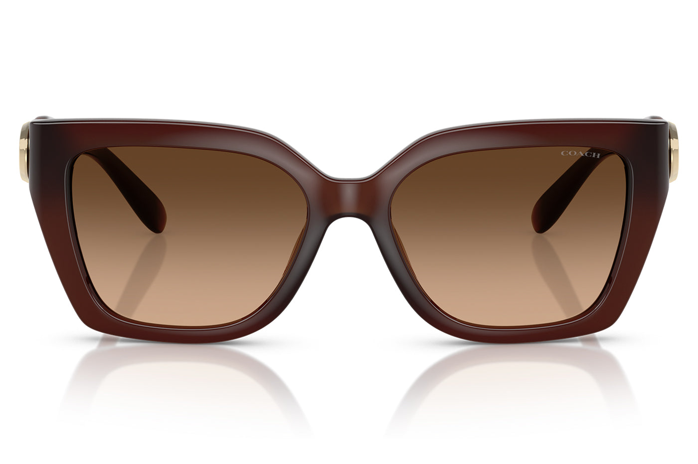 Vista-1 - Gafas de Sol Coach 0HC8408U Unisex Color Café