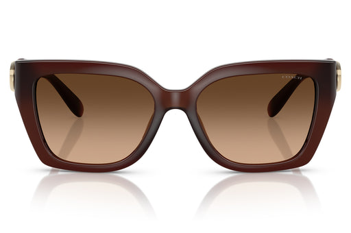 Gafas de Sol Coach 0HC8408U Unisex Color Café