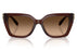 Miniatura1 - Gafas de Sol Coach 0HC8408U Unisex Color Café