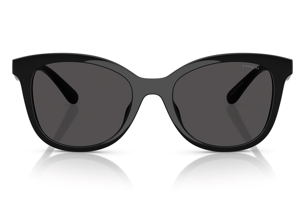 Gafas de Sol Coach 0HC8419U Unisex Color Negro
