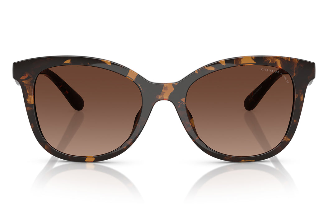 Gafas de Sol Coach 0HC8419U Unisex Color Havana