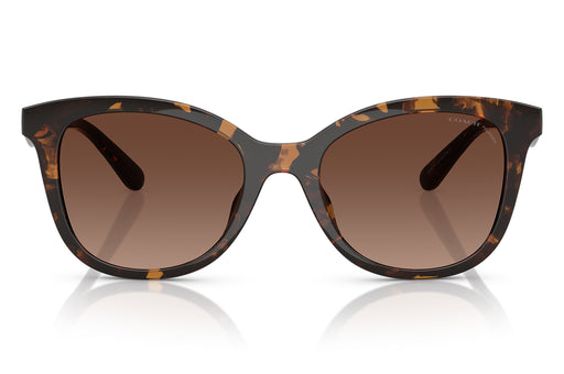 Gafas de Sol Coach 0HC8419U Unisex Color Havana