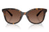 Miniatura1 - Gafas de Sol Coach 0HC8419U Unisex Color Havana