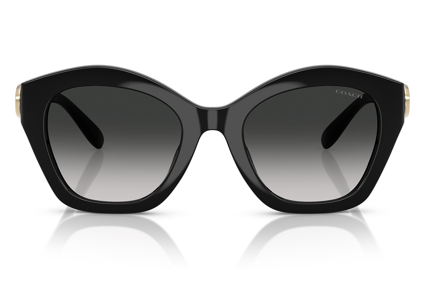 Vista-1 - Gafas de Sol Coach 0HC8421U Unisex Color Negro