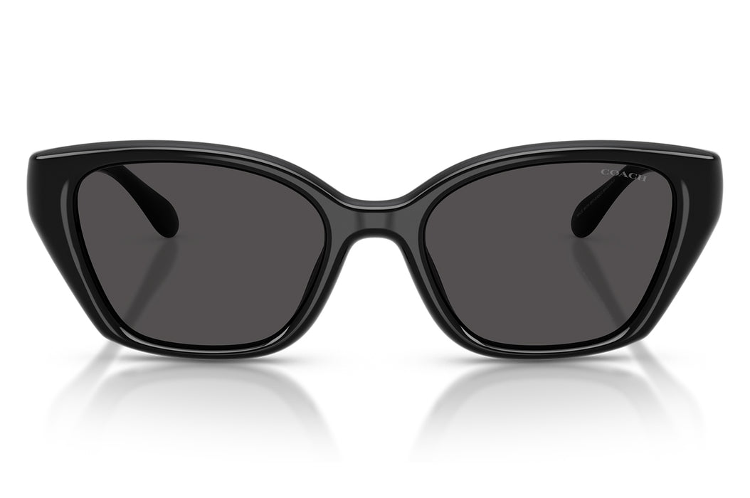 Gafas de Sol Coach 0HC8434U Mujer Color Negro
