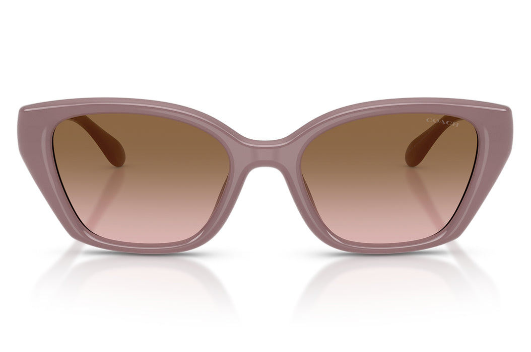 Gafas de Sol Coach 0HC8434U Mujer Color Café