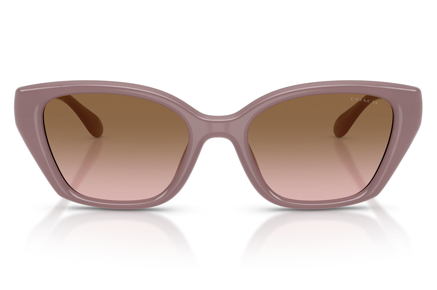 Vista-1 - Gafas de Sol Coach 0HC8434U Mujer Color Café