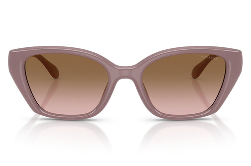 Gafas de Sol Coach 0HC8434U Mujer Color Café