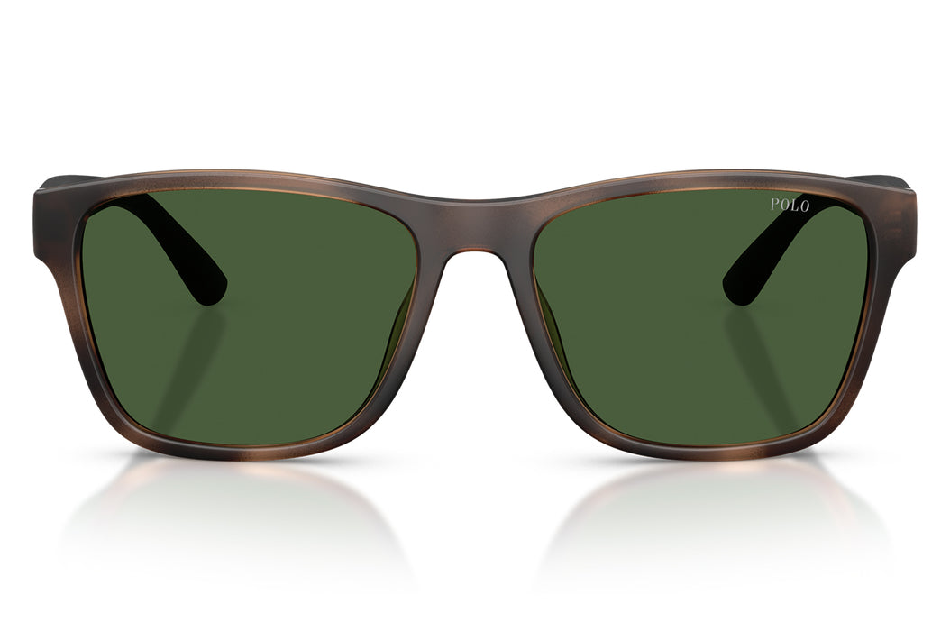 Gafas de Sol Polo Ralph Lauren 0PH4229U Hombre Color Havana