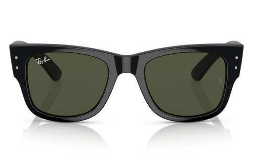 Gafas de Sol Ray Ban 0RB0840S Unisex Color Negro