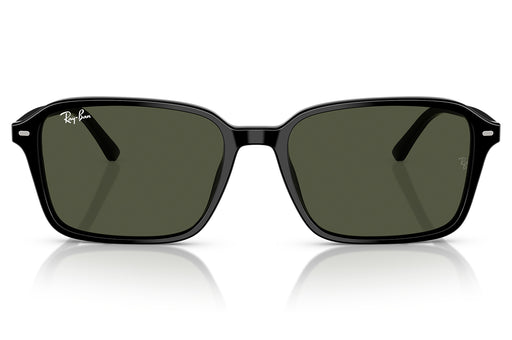 Gafas de Sol Ray Ban 0RB2231 Unisex Color Negro
