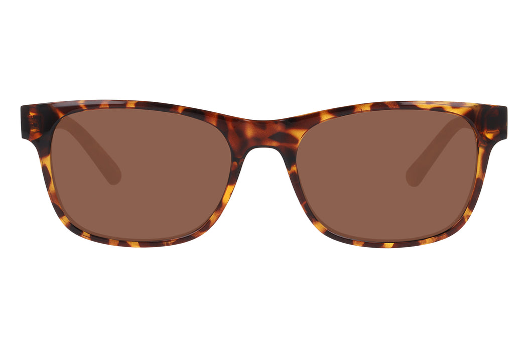 Gafas de Sol Seen 0NE6078 Unisex Color Havana
