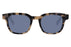 Miniatura1 - Gafas de sol  DbyD 0DB4053 Unisex Color Havana