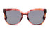 Miniatura1 - Gafas de Sol DbyD DBSF5009P Unisex Color Havana