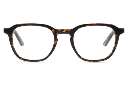 Gafas Oftálmicas DbyD  BP_DBOM0037 Hombre Color Havana / incluye lentes filtro luz azul violeta