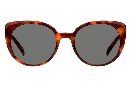 Gafas de Sol DbyD  DBSF5010 Unisex Color Havana