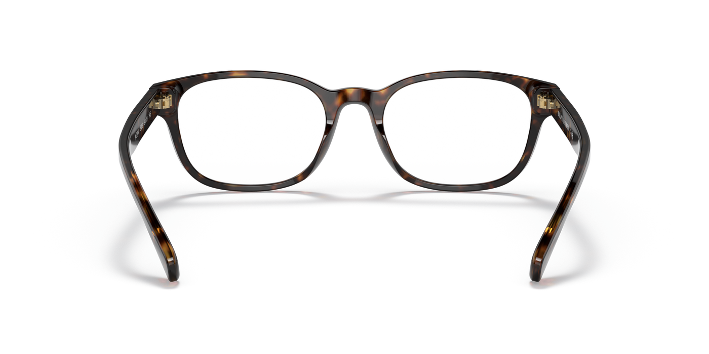 Vista3 - Polo Ralph Lauren 0PH2244 Hombre Color Havana
