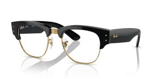 Ray-Ban 0RX0316V Hombre Color Negro