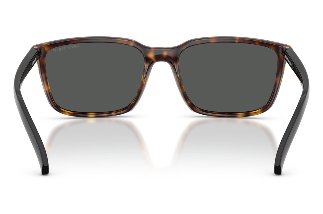 Vista4 - Gafas de Sol Arnette 0AN4311 Hombre Color Havana