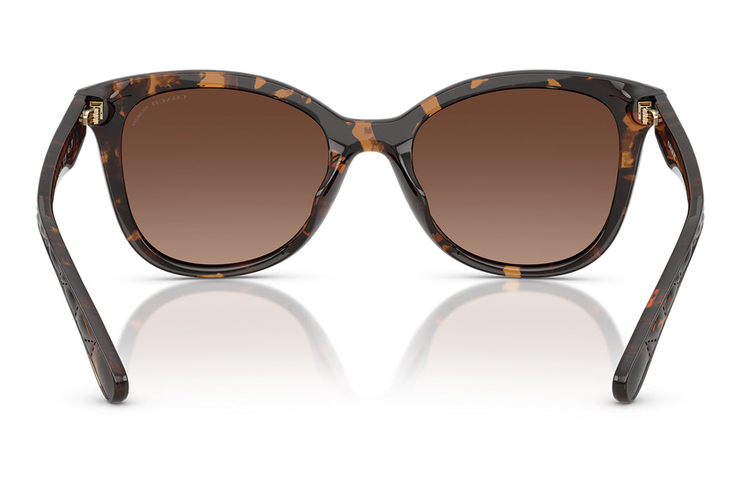 Vista3 - Gafas de Sol Coach 0HC8419U Unisex Color Havana