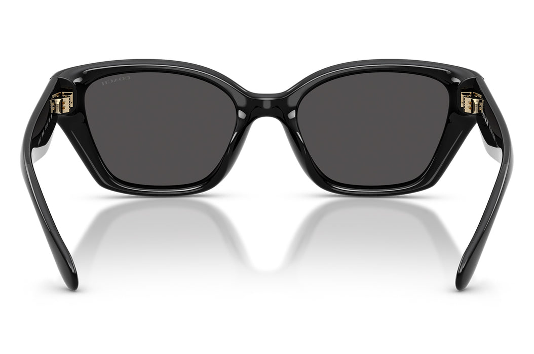 Vista3 - Gafas de Sol Coach 0HC8434U Mujer Color Negro
