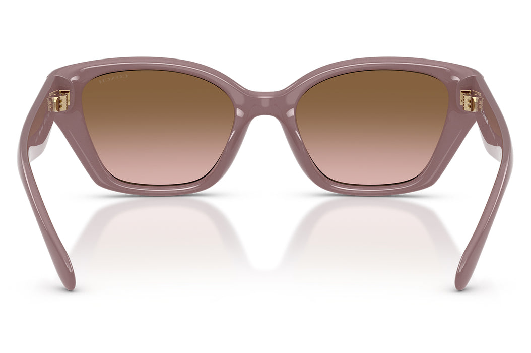 Vista3 - Gafas de Sol Coach 0HC8434U Mujer Color Café