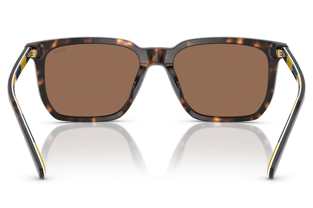 Vista3 - Gafas de Sol Polo Ralph 0PH4224U Unisex Color Habana