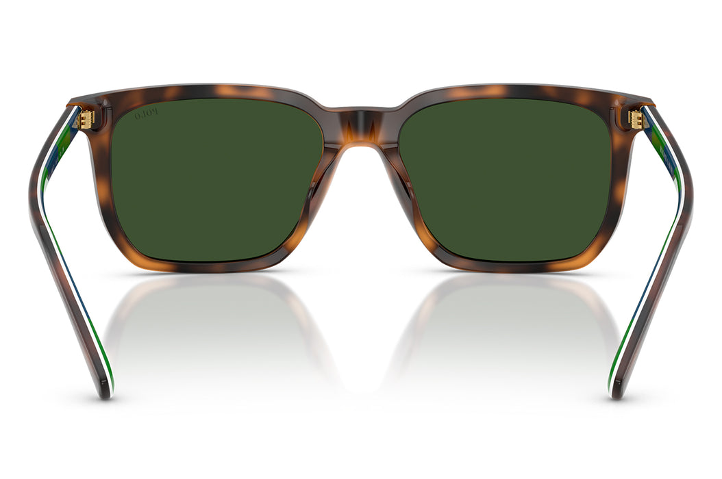 Vista3 - Gafas de Sol Polo Ralph 0PH4224U Unisex Color Havana