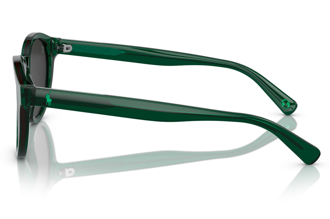 Vista3 - Gafas de Sol Polo Ralph Lauren 0PH4192 Unisex Color Verde
