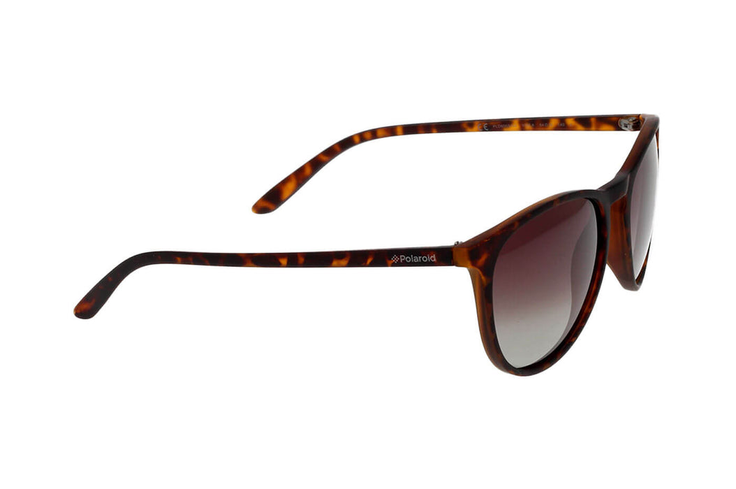 Polaroid PLD 4153/S - 1ED M9 Green | Sunglasses Man